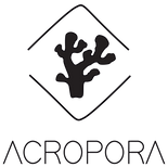 Acropora Swimwear